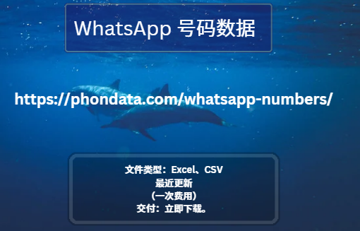 WhatsApp 号码数据