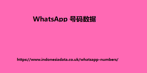 WhatsApp 号码数据