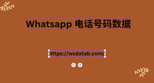 Whatsapp 电话号码数据