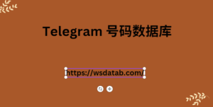 Telegram 号码数据库