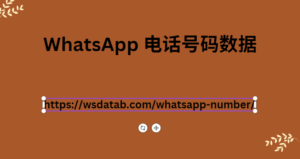 WhatsApp 电话号码数据