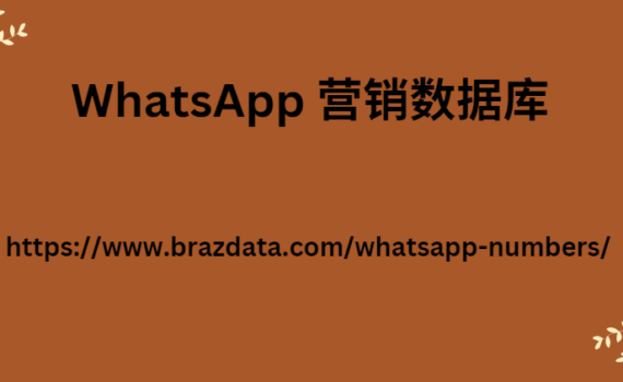 WhatsApp 营销数据库