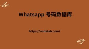 Whatsapp 号码数据库