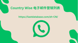 Country Wise 电子邮件营销列表