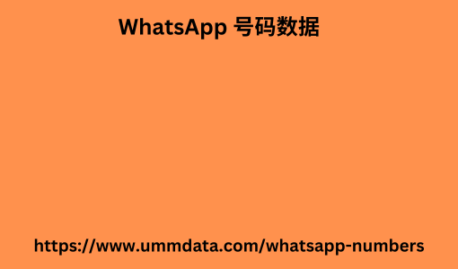 WhatsApp 号码数据