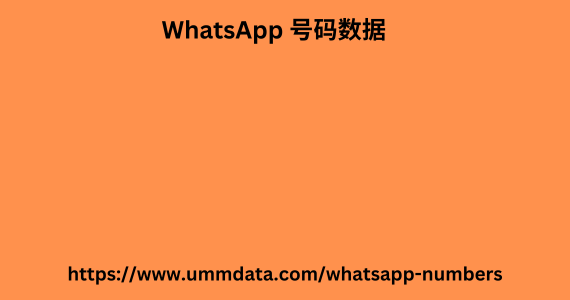 WhatsApp 号码数据