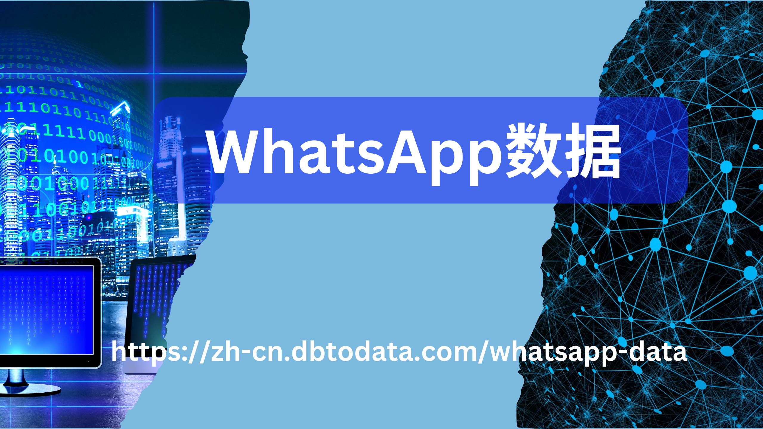 WhatsApp数据