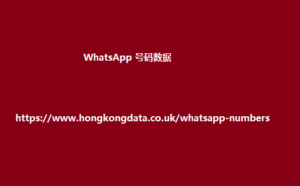 WhatsApp 号码数据