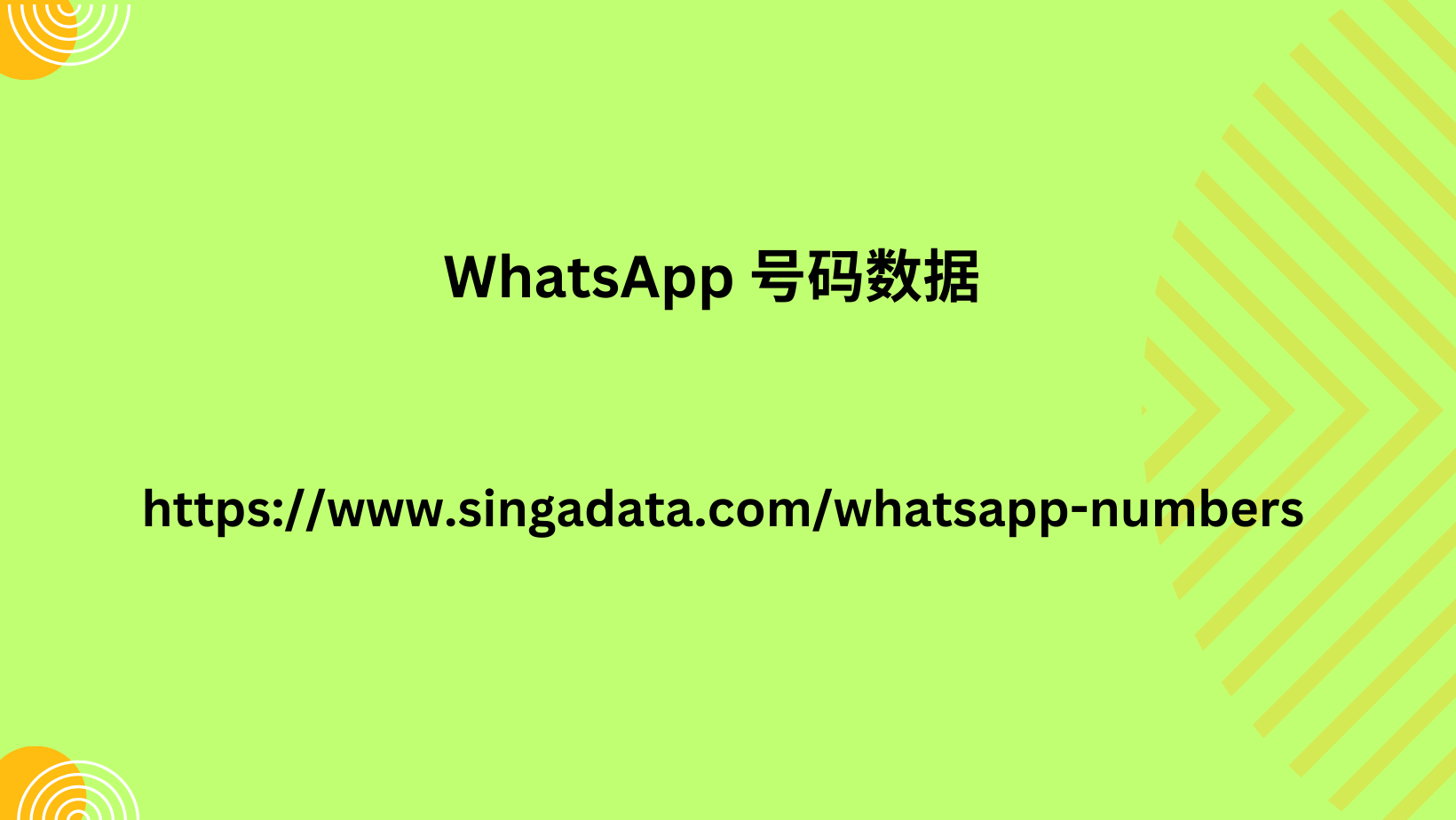 WhatsApp 号码数据